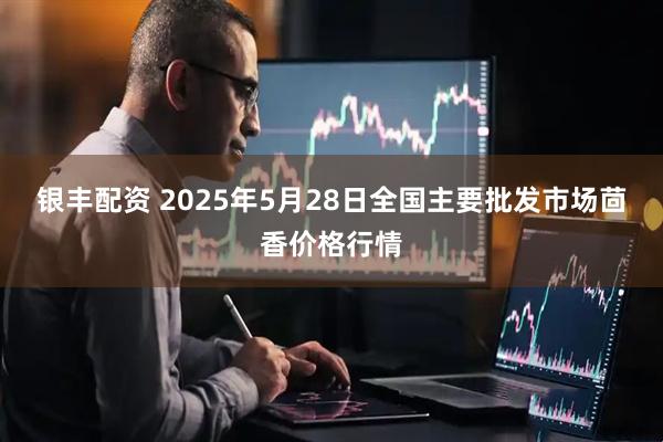 银丰配资 2025年5月28日全国主要批发市场茴香价格行情
