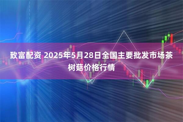 致富配资 2025年5月28日全国主要批发市场茶树菇价格行情