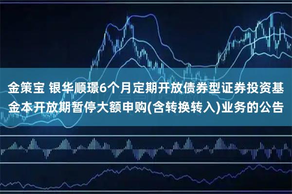 金策宝 银华顺璟6个月定期开放债券型证券投资基金本开放期暂停大额申购(含转换转入)业务的公告