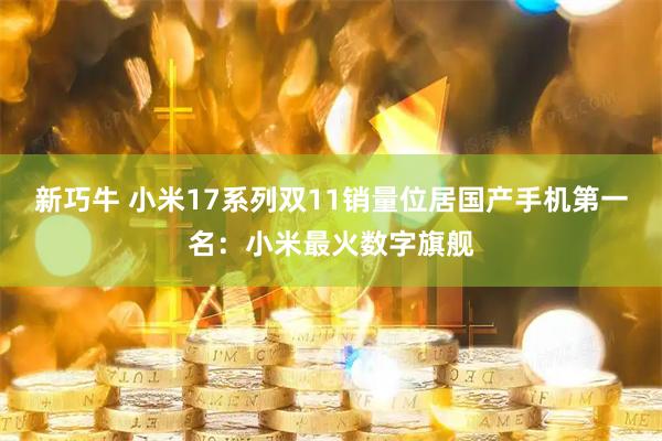 新巧牛 小米17系列双11销量位居国产手机第一名：小米最火数字旗舰