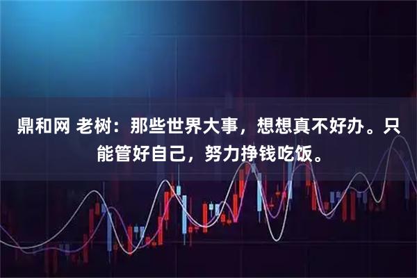鼎和网 老树：那些世界大事，想想真不好办。只能管好自己，努力挣钱吃饭。
