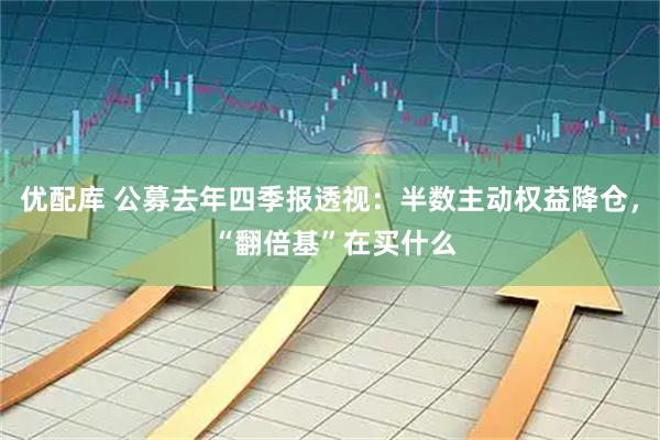 优配库 公募去年四季报透视：半数主动权益降仓， “翻倍基”在买什么