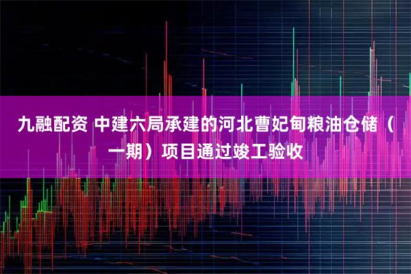 九融配资 中建六局承建的河北曹妃甸粮油仓储（一期）项目通过竣工验收